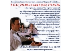 Торговля на бирже. Где торговать акциями. Биржа обучение Уфа.