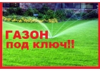 Газон под ключ
